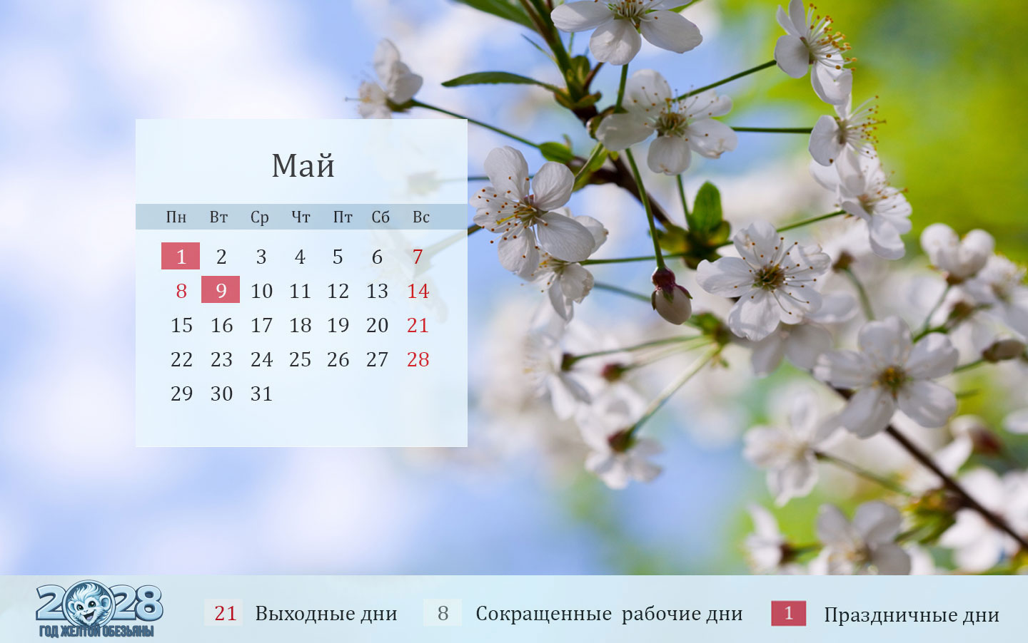 Календарь на май 2028 года для шестидневки